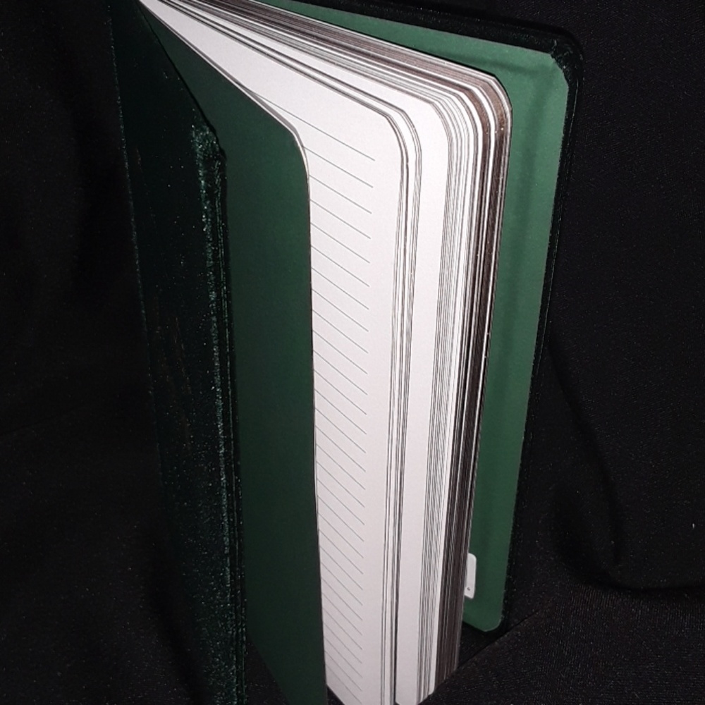 Taurus Velvet Notebook - Picture 2 of 4